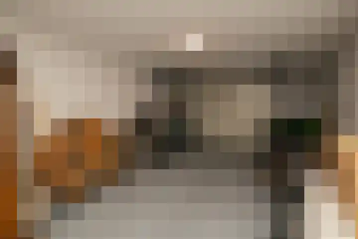Boksbergenlaan 5 Den Haag thumbnail 24