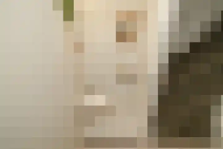 Boksbergenlaan 5 Den Haag thumbnail 27