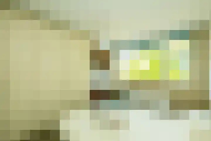 Boksbergenlaan 5 Den Haag thumbnail 29