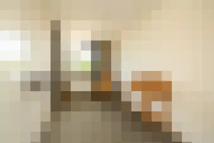 Boksbergenlaan 5 Den Haag thumbnail 34