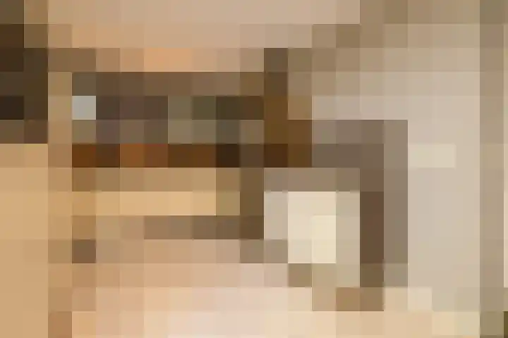 Boksbergenlaan 5 Den Haag thumbnail 4