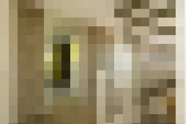 Boksbergenlaan 5 Den Haag thumbnail 40