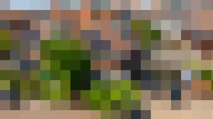 Boksbergenlaan 5 Den Haag thumbnail 5