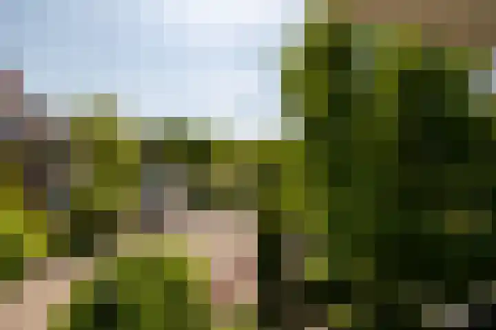 Boksbergenlaan 5 Den Haag thumbnail 53