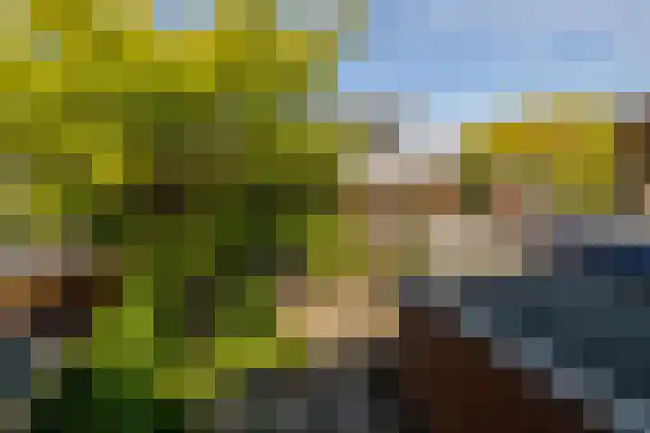 Boksbergenlaan 5 Den Haag thumbnail 54