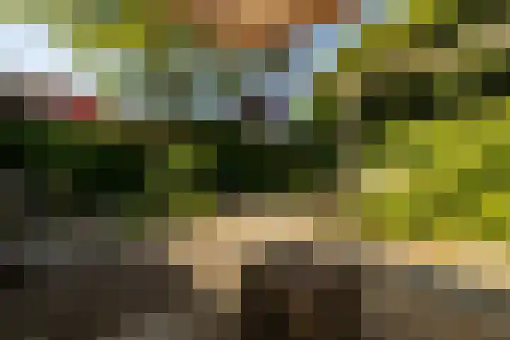Boksbergenlaan 5 Den Haag thumbnail 56