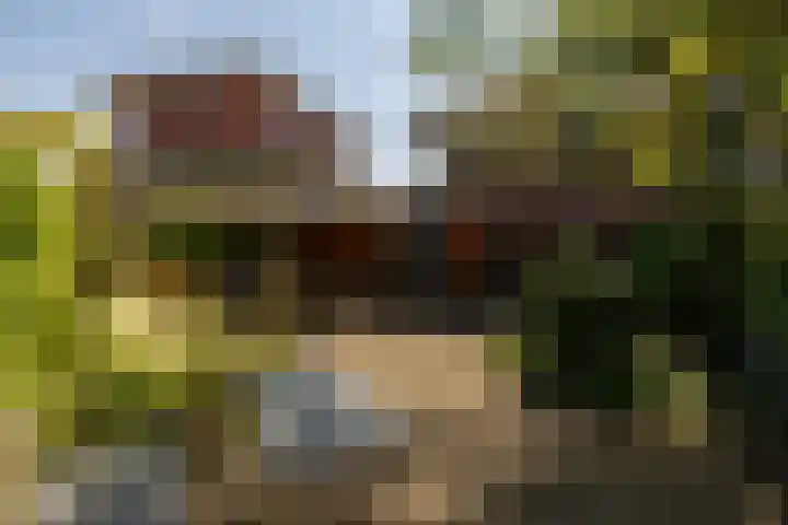 Boksbergenlaan 5 Den Haag thumbnail 57