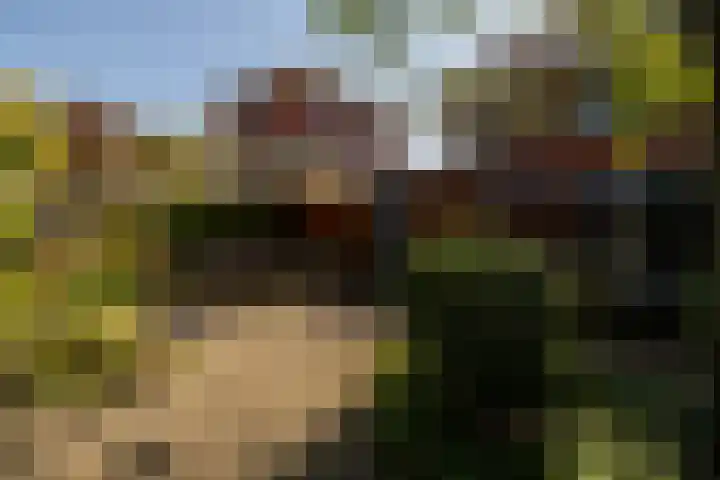 Boksbergenlaan 5 Den Haag thumbnail 58