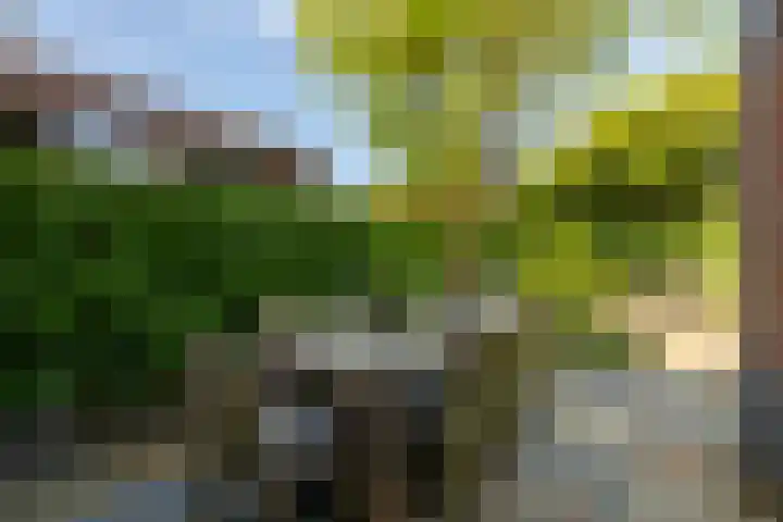 Boksbergenlaan 5 Den Haag thumbnail 59