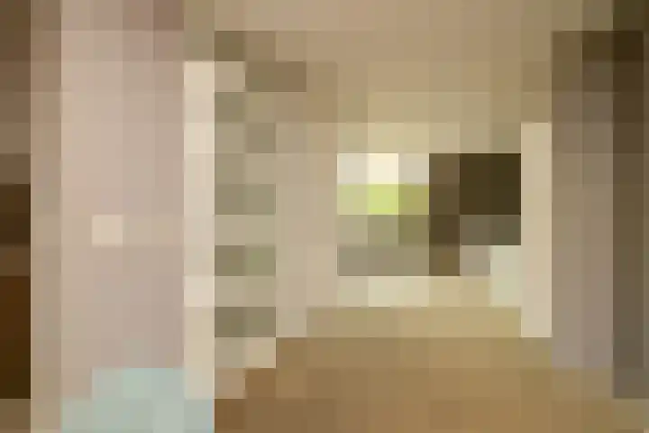 Boksbergenlaan 5 Den Haag thumbnail 7