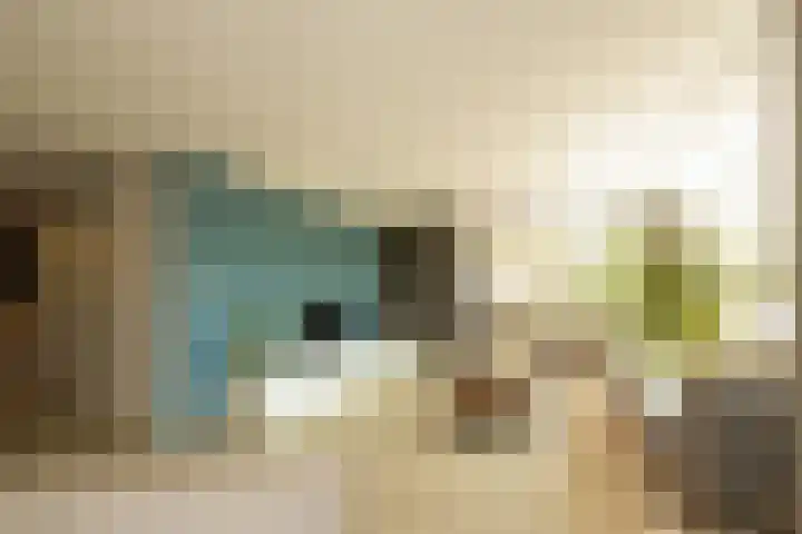 Boksbergenlaan 5 Den Haag thumbnail 9