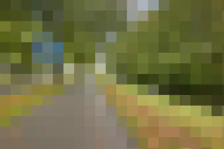 Boksbergenstraat 11 3 Arnhem thumbnail 9