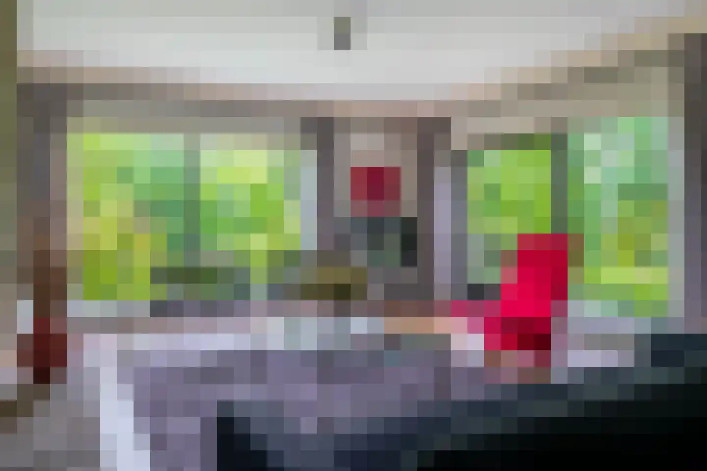 Boksdoorn 1 Krimpen aan den IJssel thumbnail 11