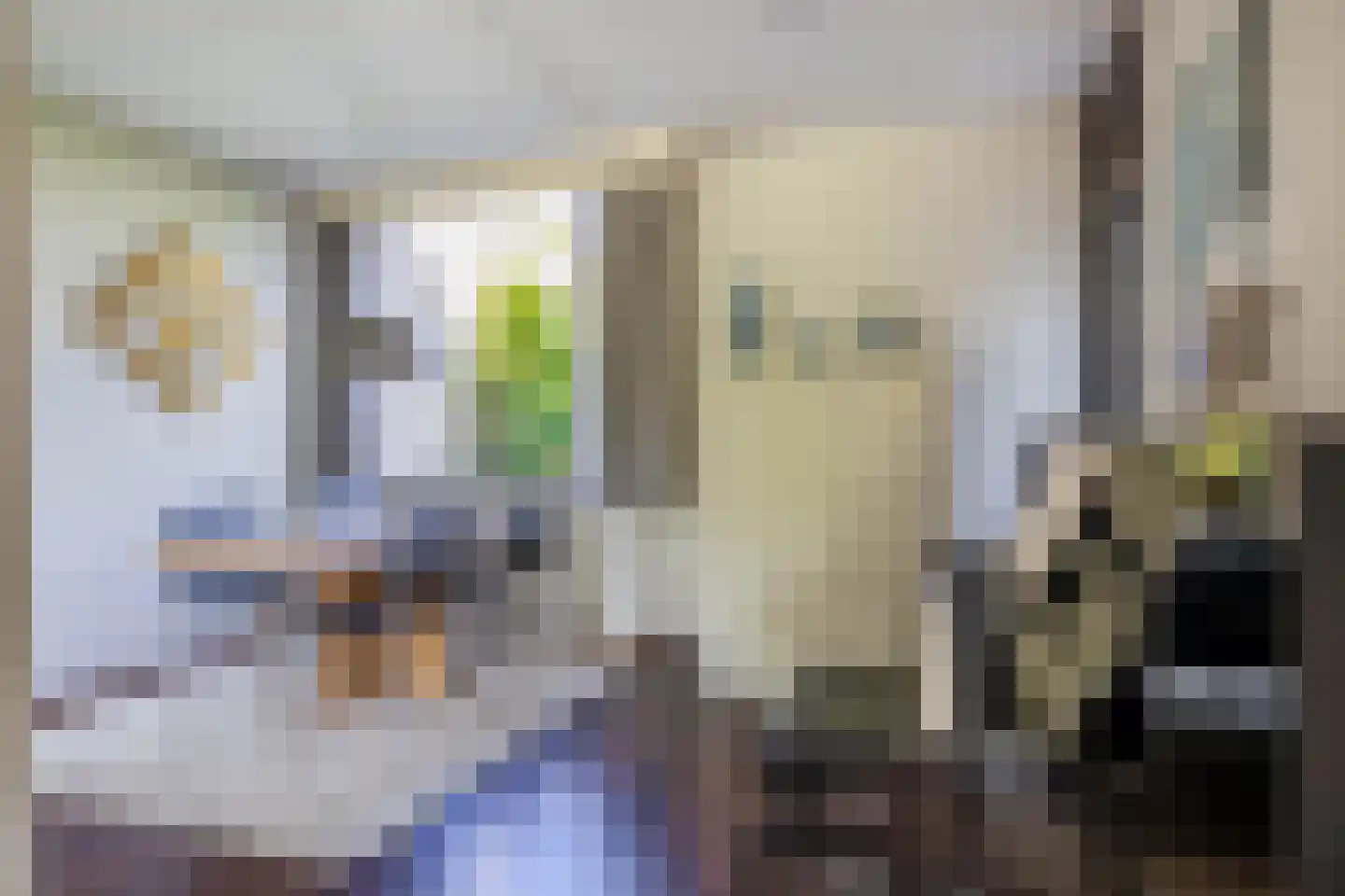 Boksdoorn 1 Krimpen aan den IJssel thumbnail 16