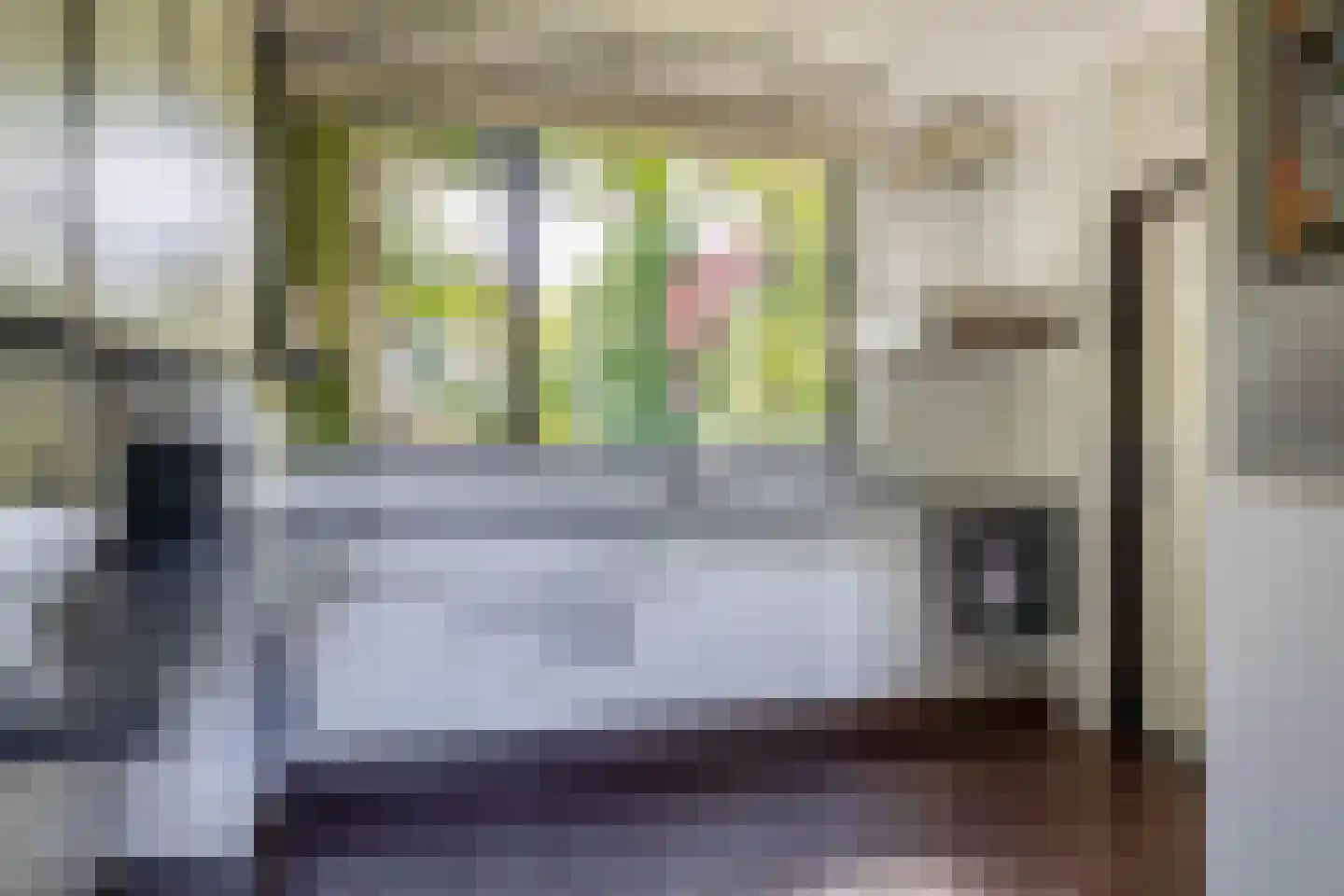 Boksdoorn 1 Krimpen aan den IJssel thumbnail 18