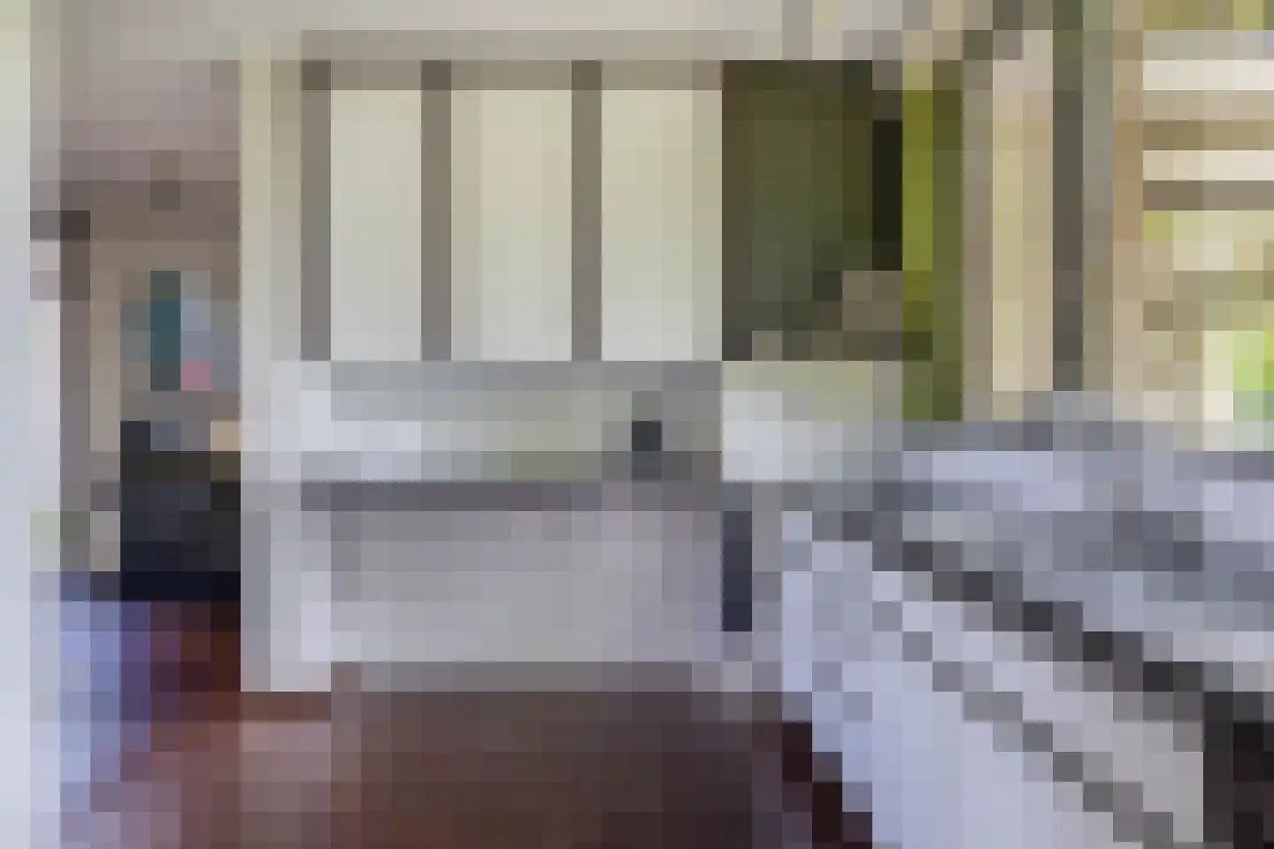 Boksdoorn 1 Krimpen aan den IJssel thumbnail 20