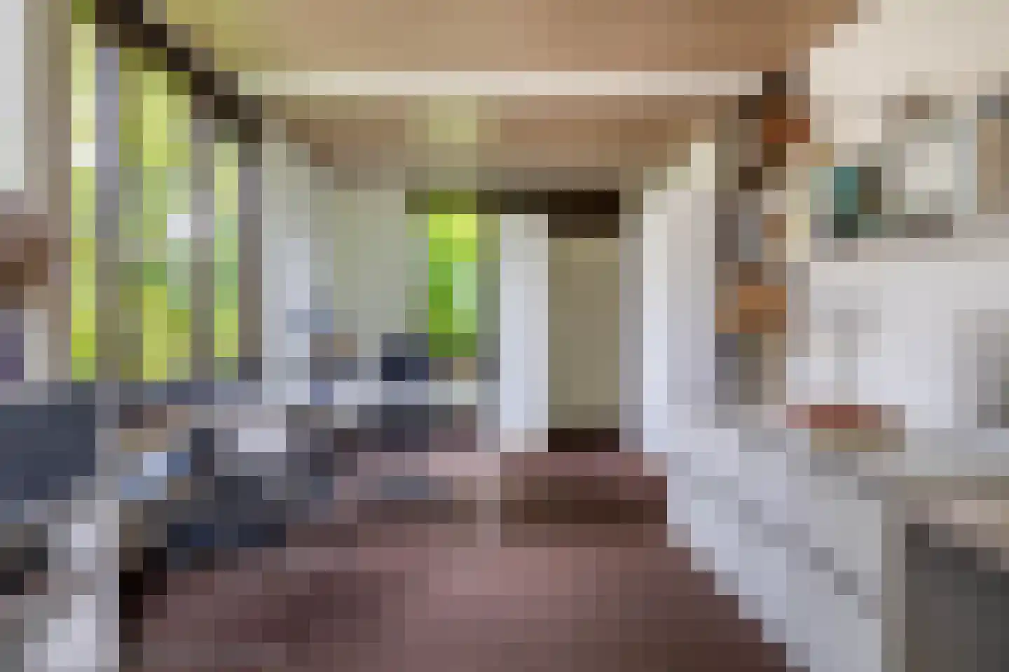 Boksdoorn 1 Krimpen aan den IJssel thumbnail 24