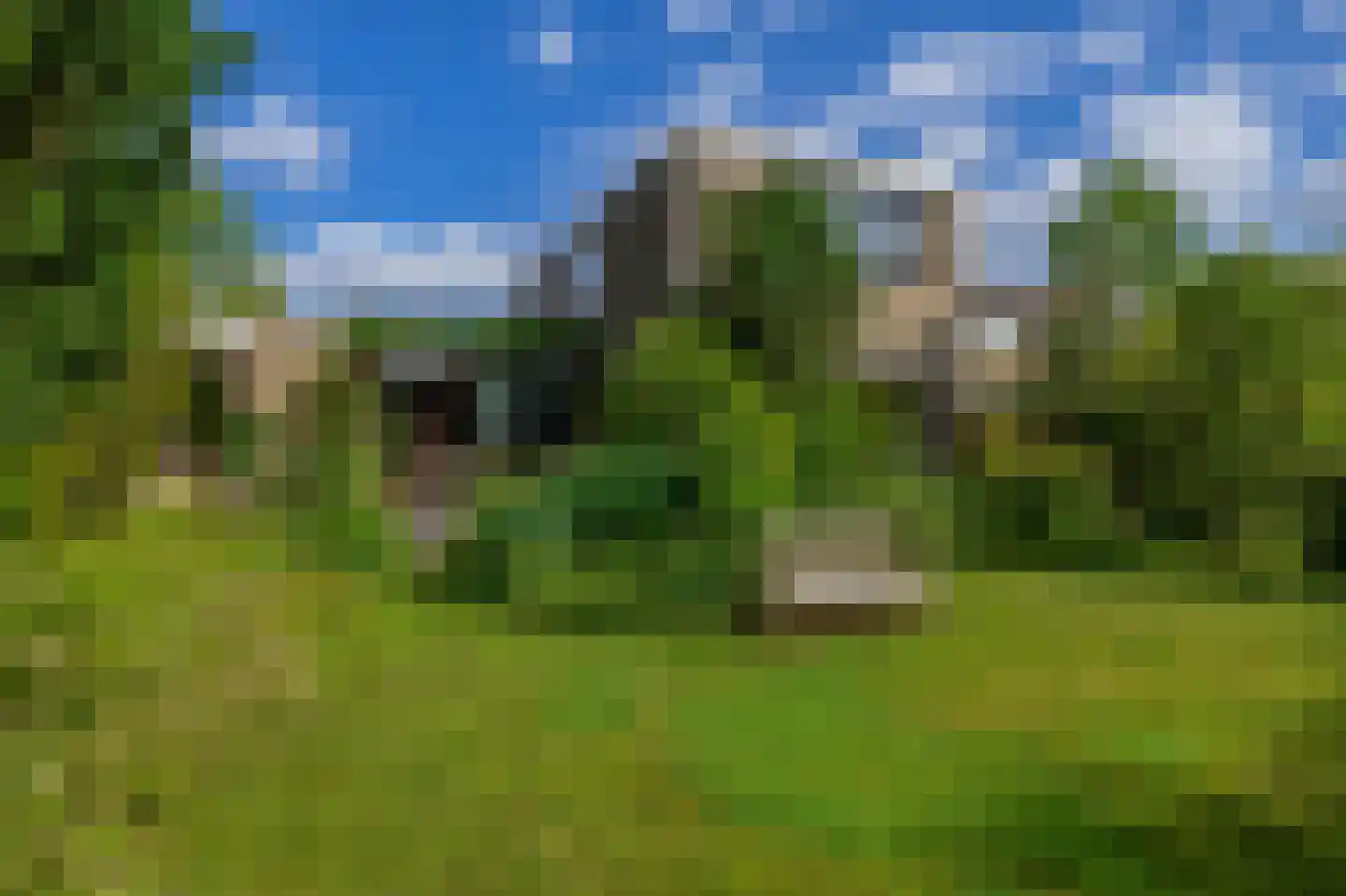 Boksdoorn 1 Krimpen aan den IJssel thumbnail 38