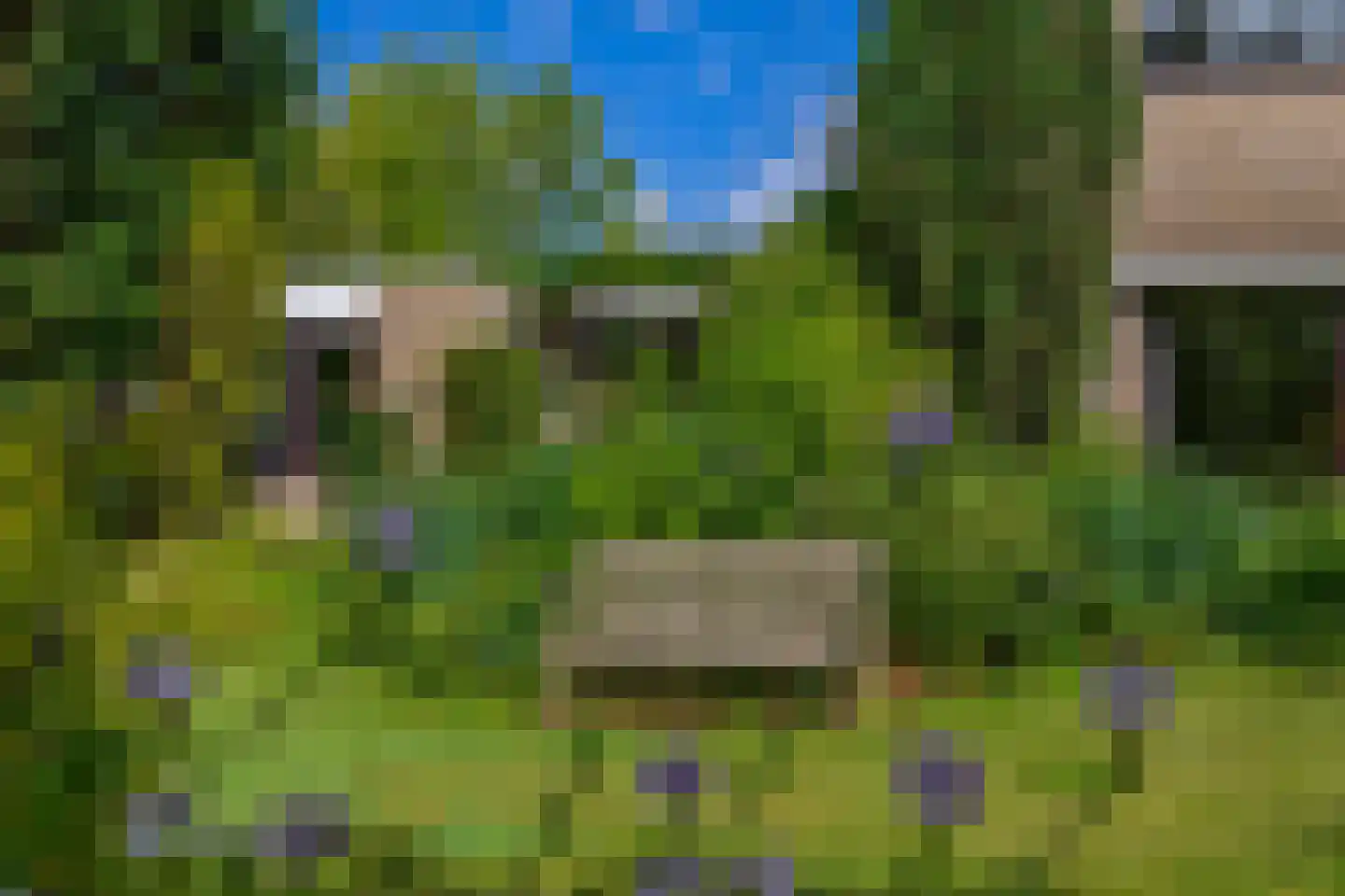 Boksdoorn 1 Krimpen aan den IJssel thumbnail 40