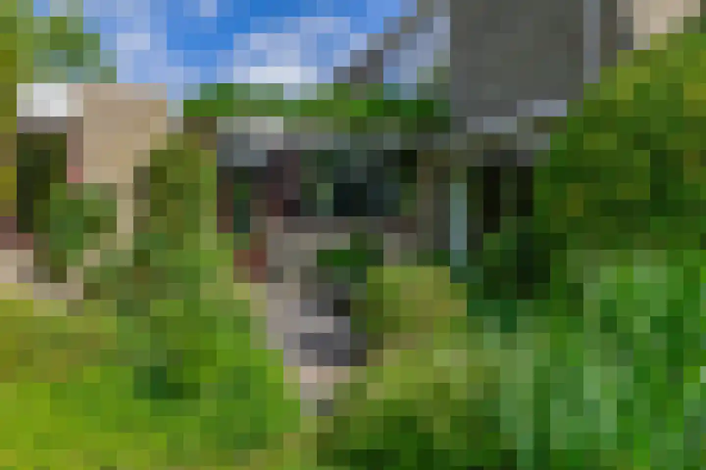 Boksdoorn 1 Krimpen aan den IJssel thumbnail 41
