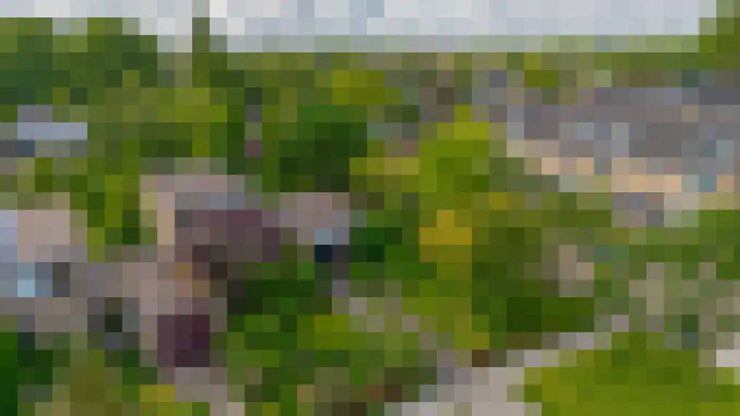 Boksdoorn 1 Krimpen aan den IJssel thumbnail 45