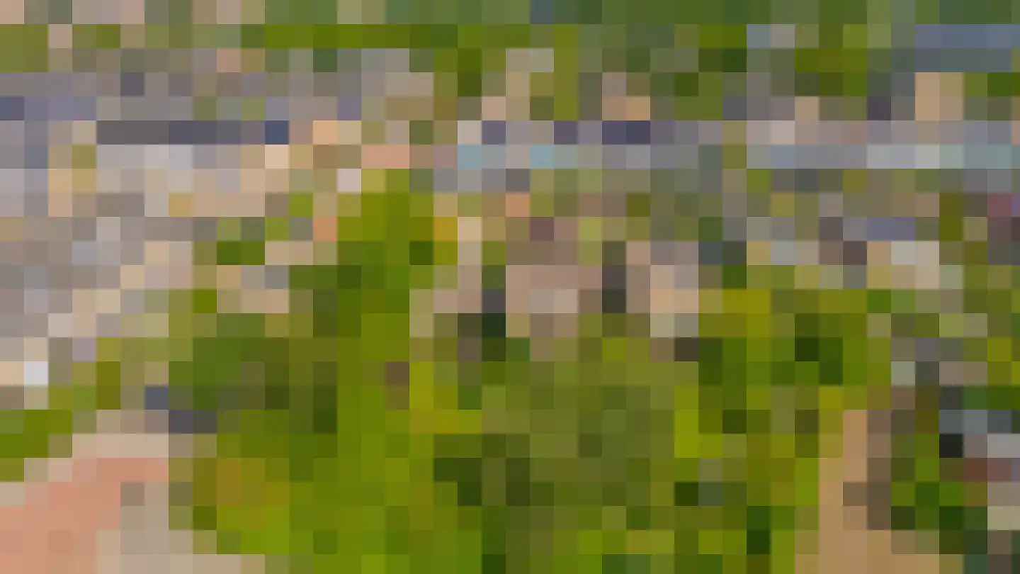 Boksdoorn 1 Krimpen aan den IJssel thumbnail 46