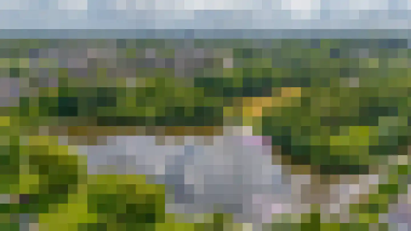 Boksdoorn 1 Krimpen aan den IJssel thumbnail 49