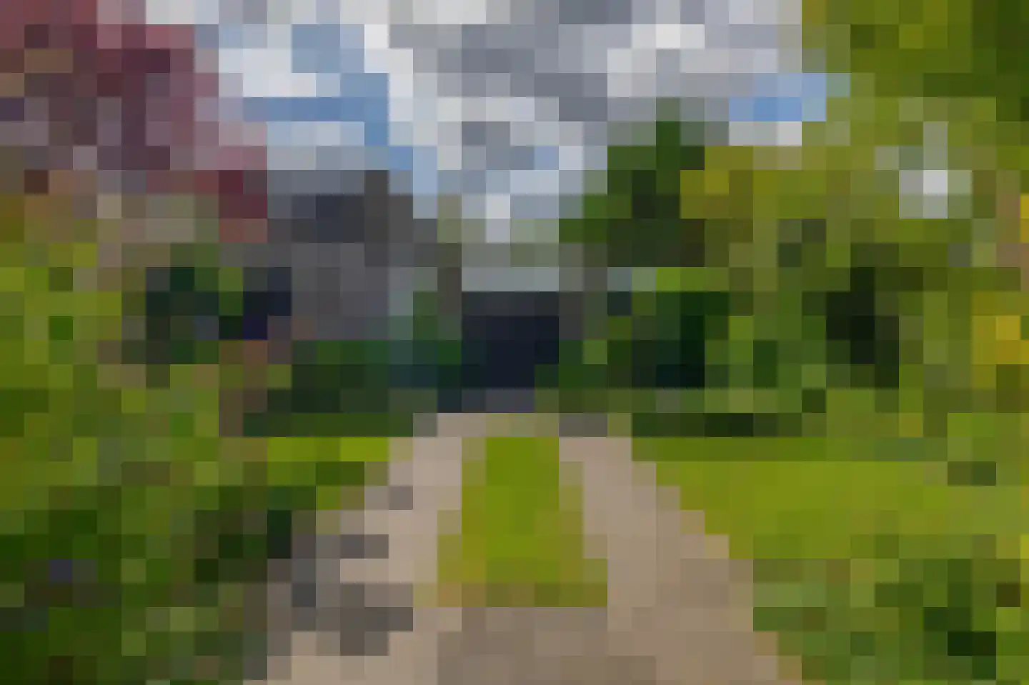 Boksdoorn 1 Krimpen aan den IJssel thumbnail 5