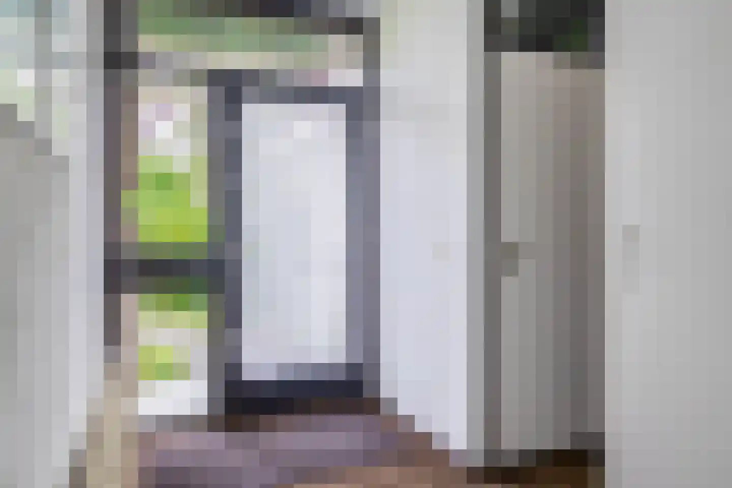Boksdoorn 1 Krimpen aan den IJssel thumbnail 7