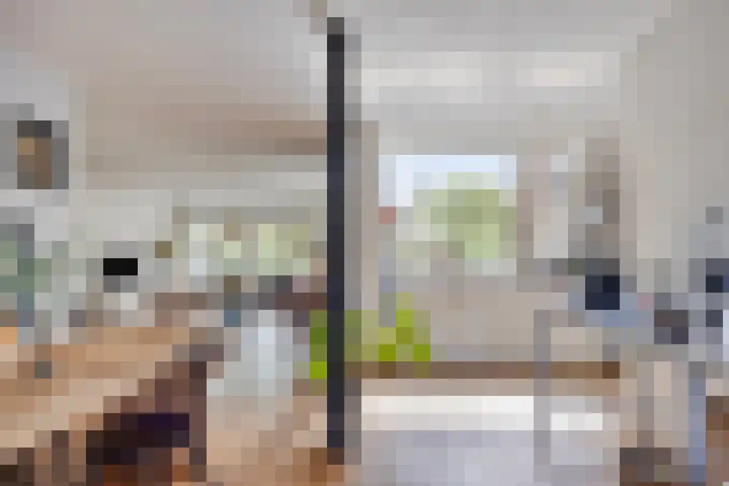 Boksdoorn 3 Krimpen aan den IJssel thumbnail 10