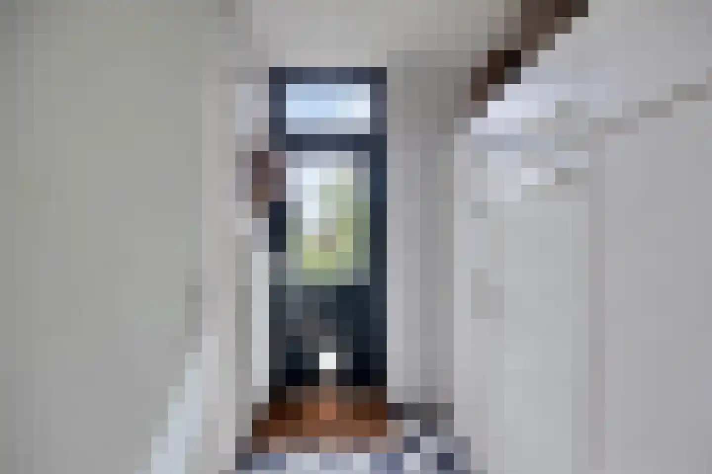 Boksdoorn 3 Krimpen aan den IJssel thumbnail 20