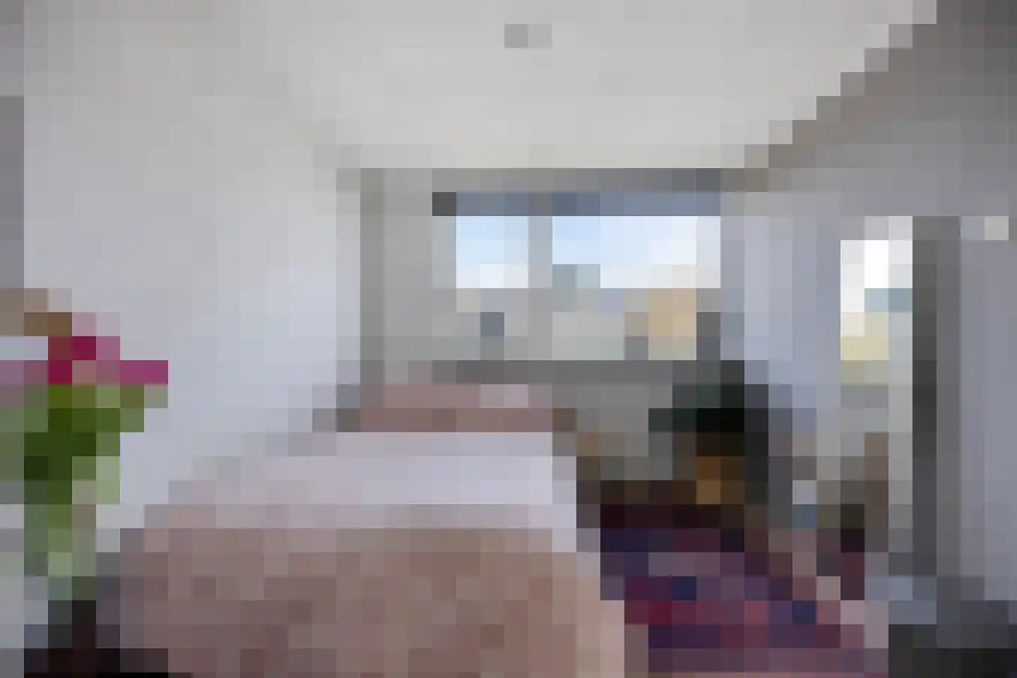 Boksdoorn 3 Krimpen aan den IJssel thumbnail 25
