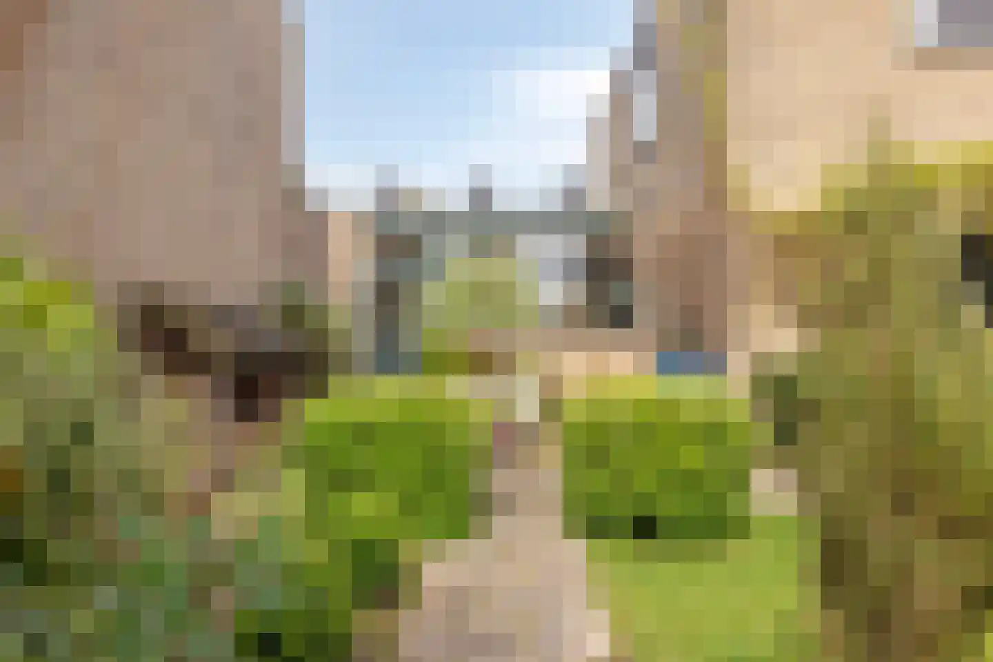 Boksdoorn 3 Krimpen aan den IJssel thumbnail 34