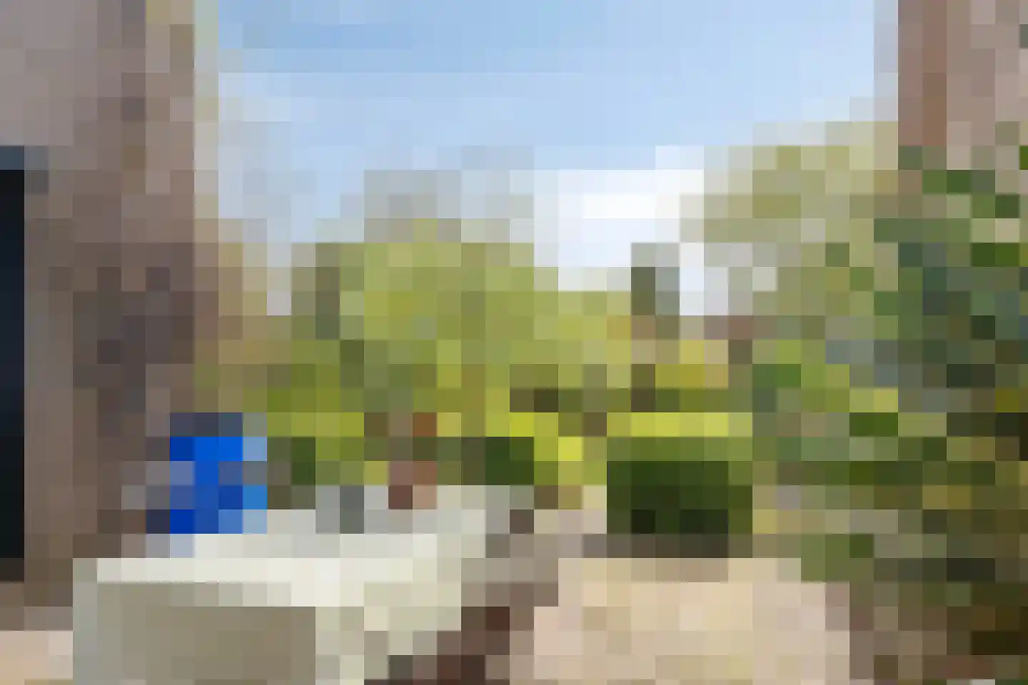 Boksdoorn 3 Krimpen aan den IJssel thumbnail 35