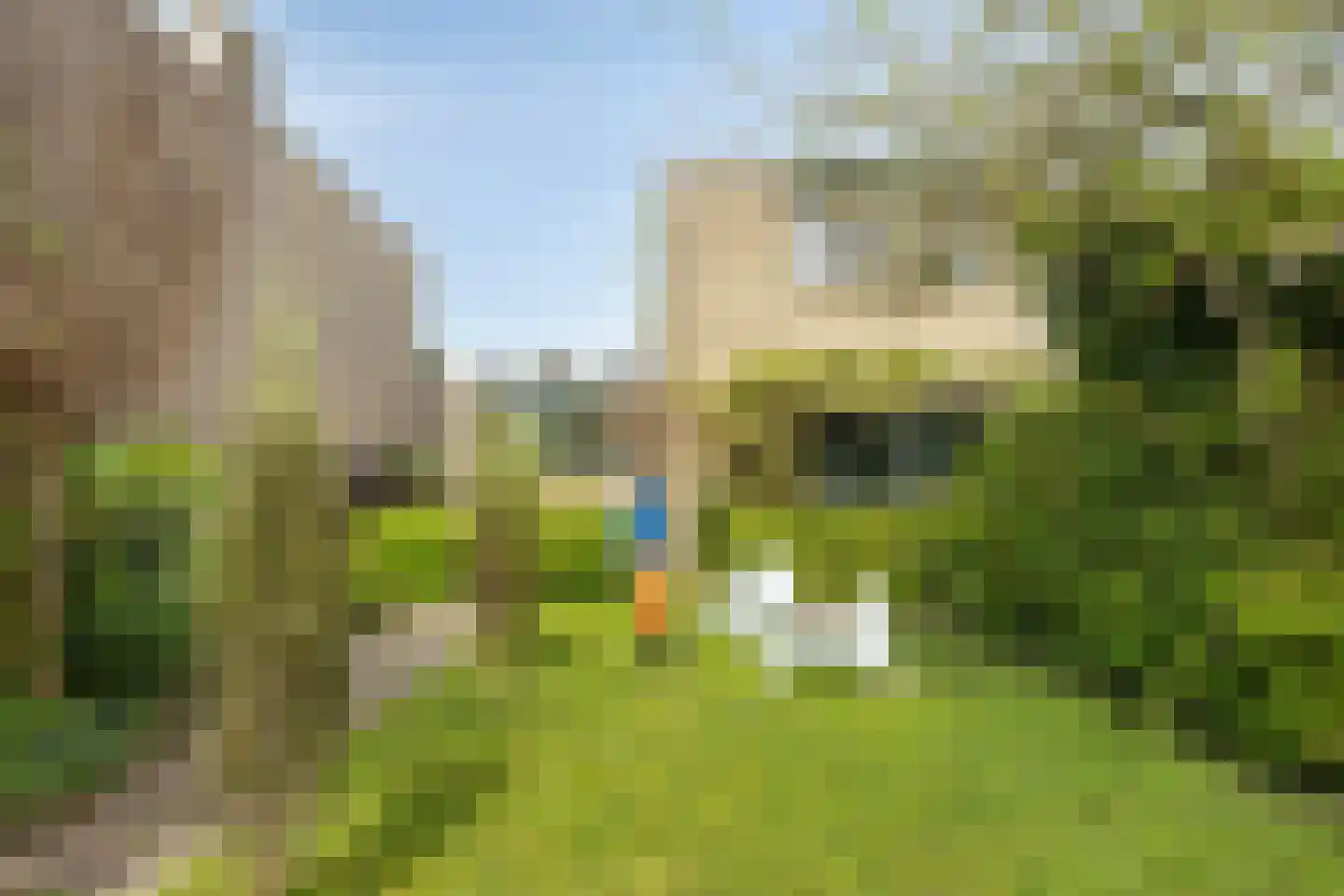 Boksdoorn 3 Krimpen aan den IJssel thumbnail 36