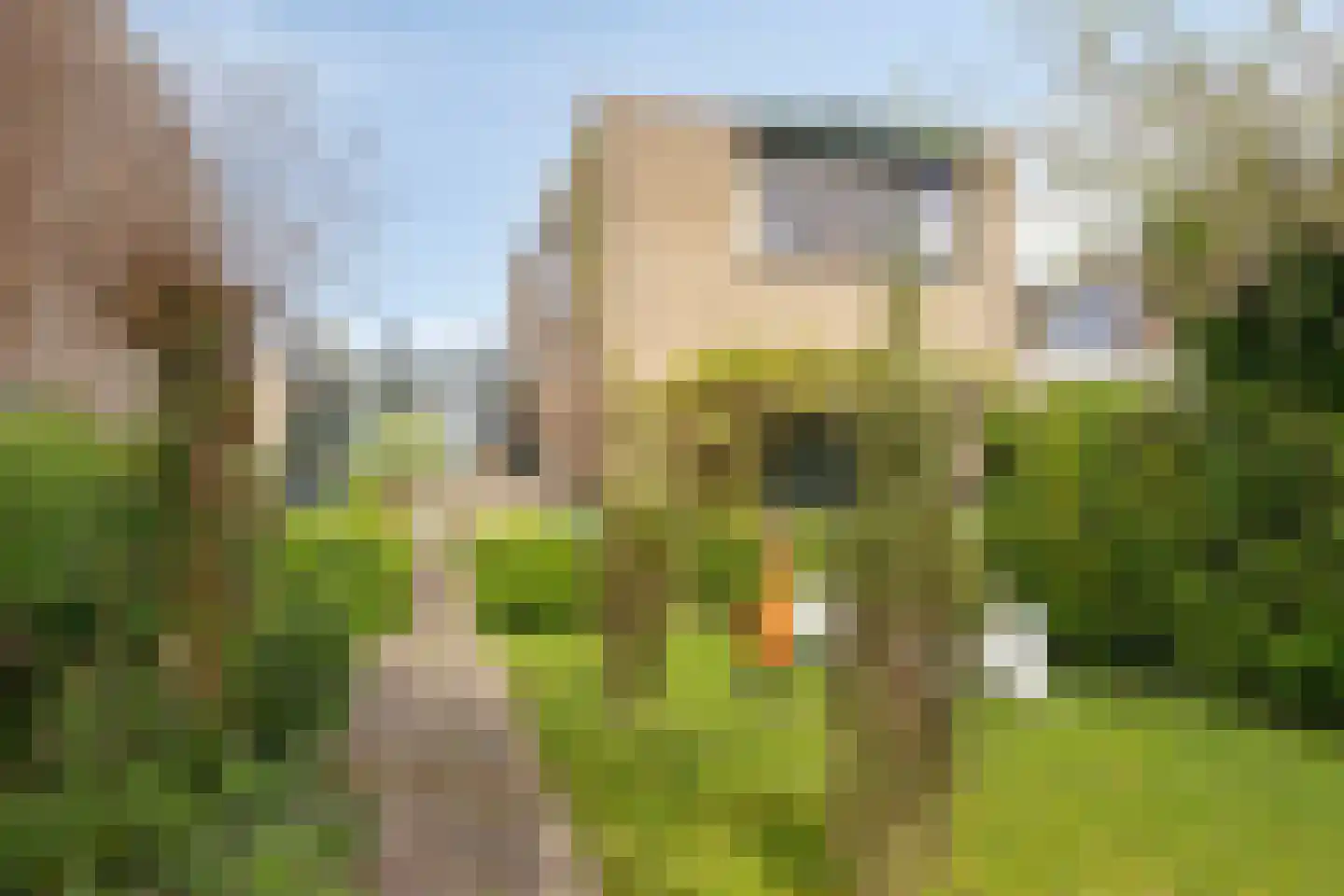 Boksdoorn 3 Krimpen aan den IJssel thumbnail 37