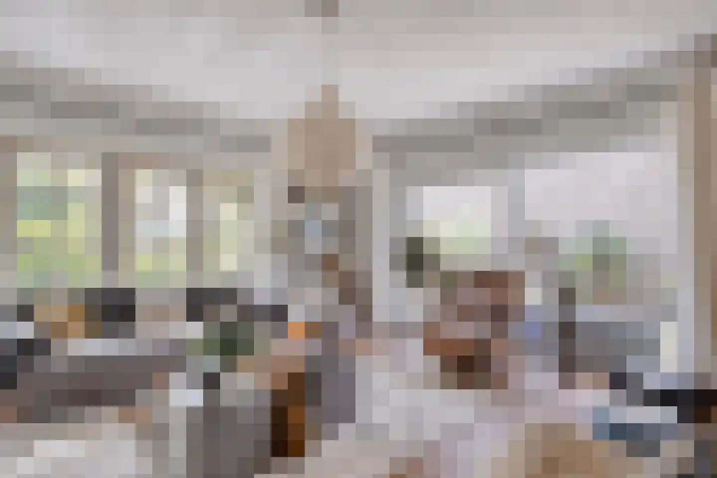 Boksdoorn 3 Krimpen aan den IJssel thumbnail 4