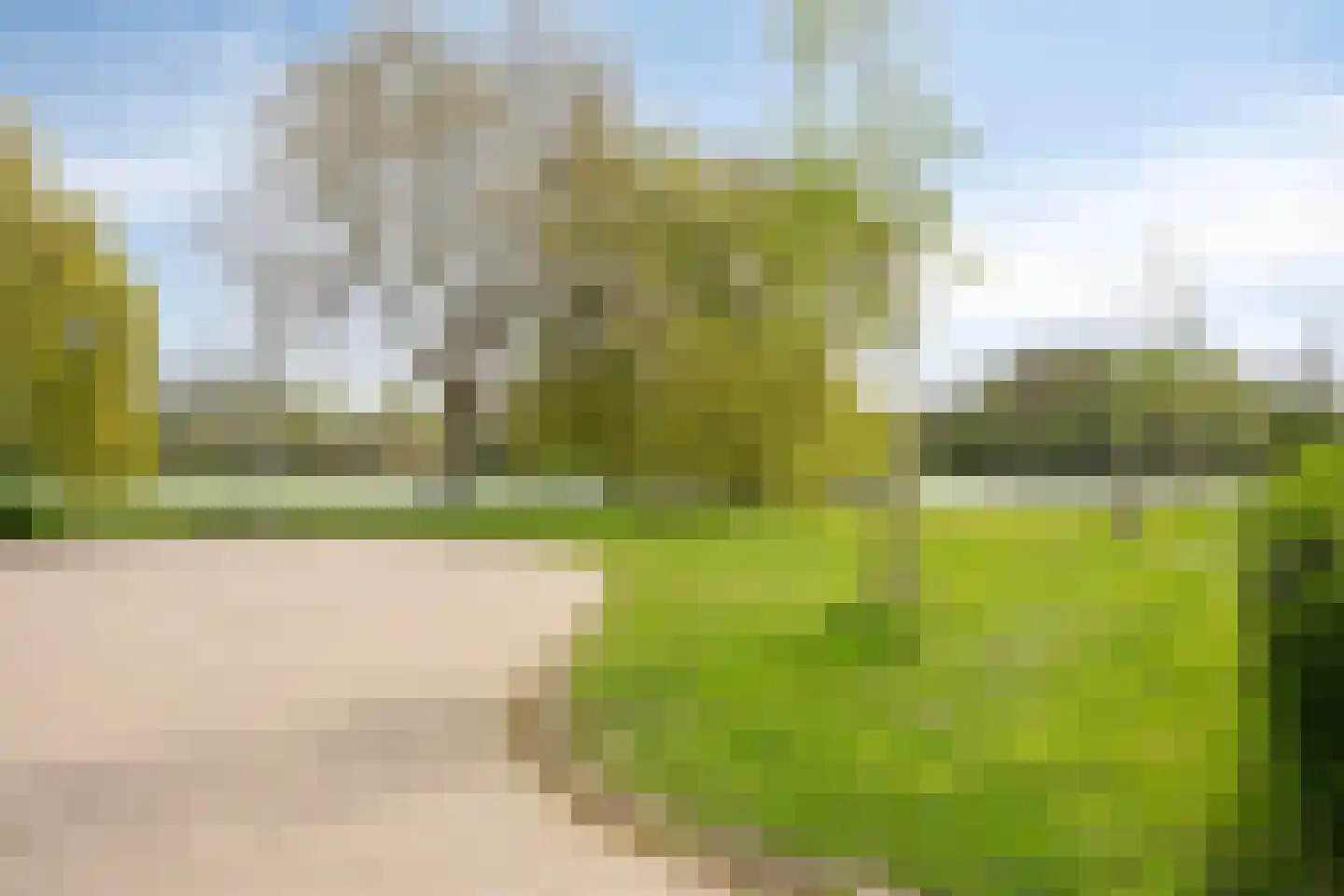 Boksdoorn 3 Krimpen aan den IJssel thumbnail 40