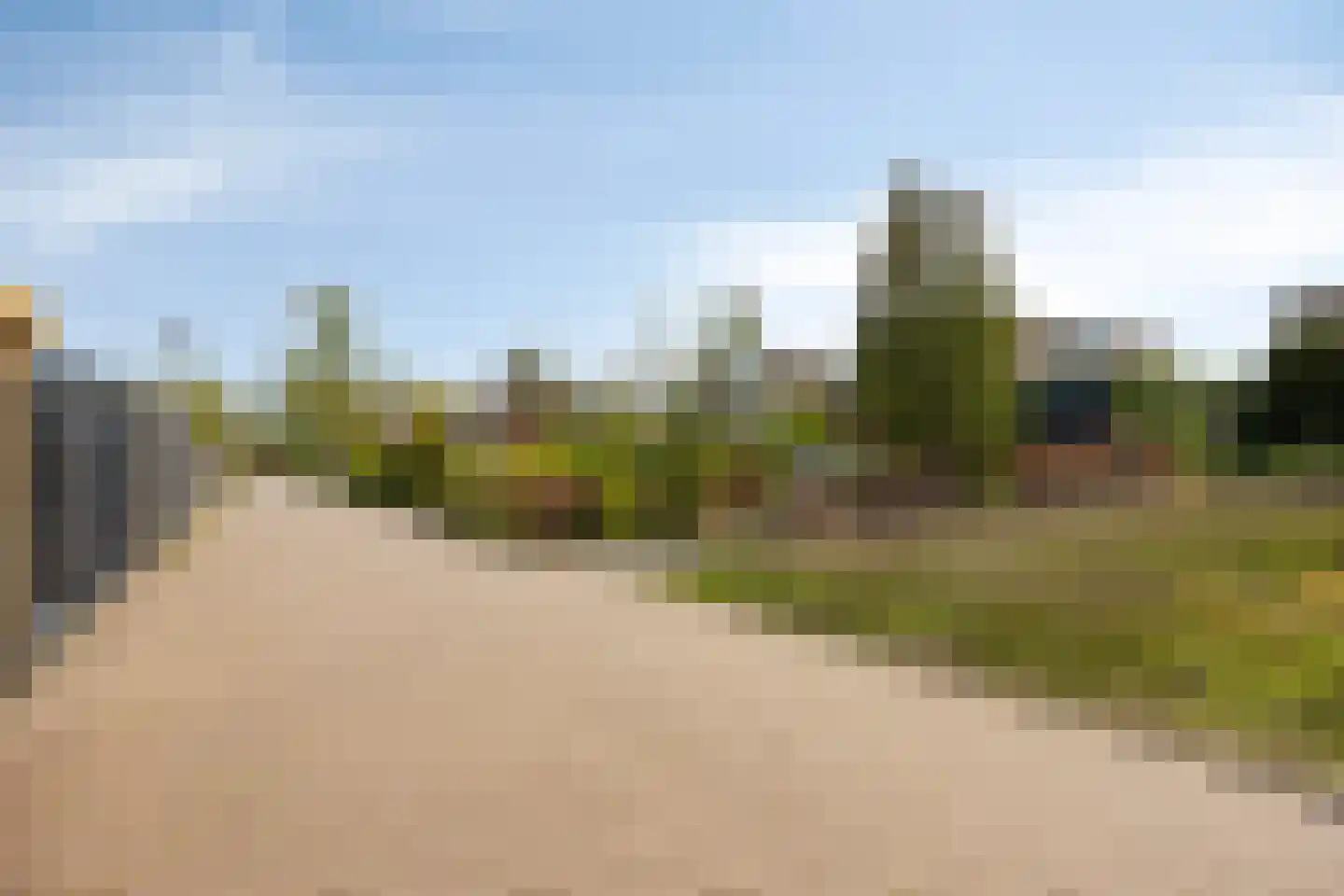 Boksdoorn 3 Krimpen aan den IJssel thumbnail 41