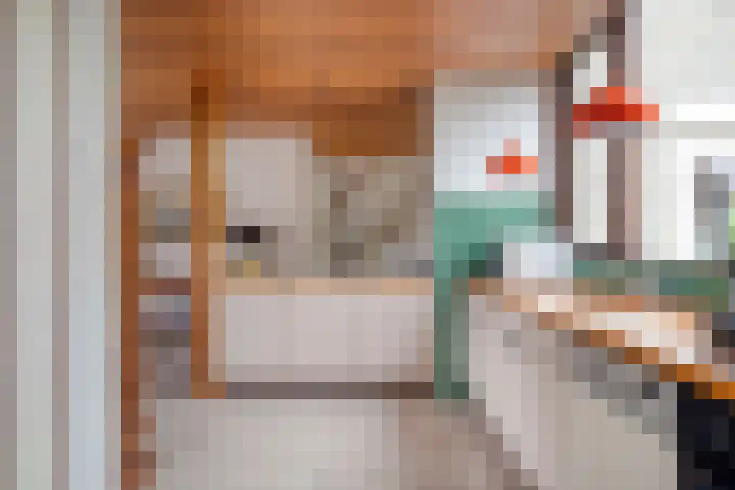 Boksdoorn 6 Krimpen aan den IJssel thumbnail 13