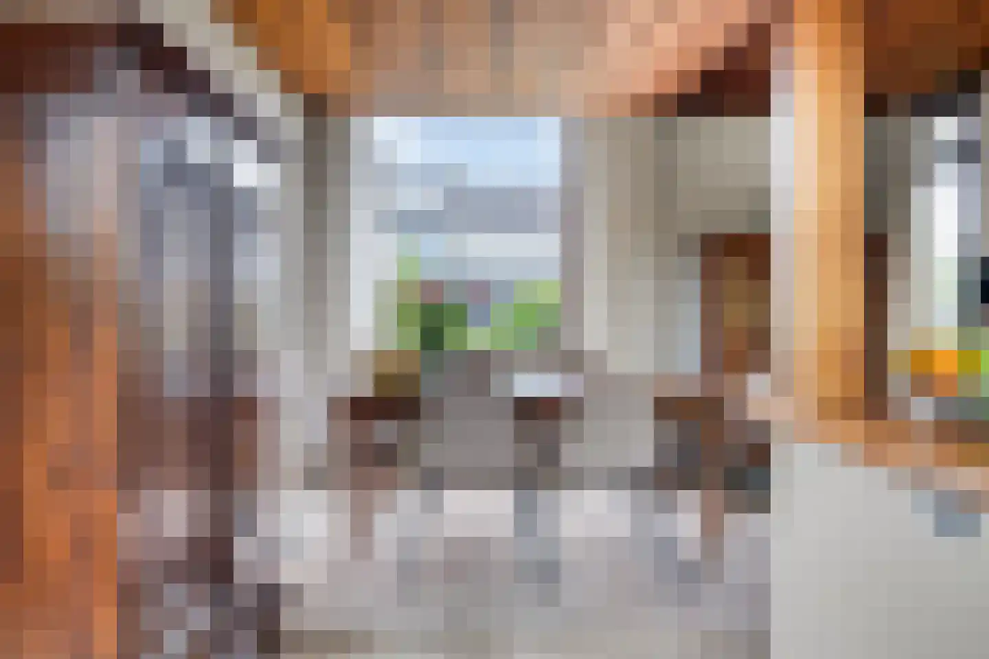 Boksdoorn 6 Krimpen aan den IJssel thumbnail 14