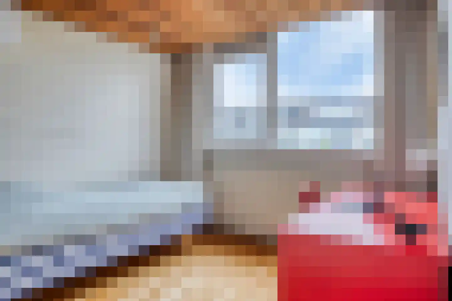 Boksdoorn 6 Krimpen aan den IJssel thumbnail 26