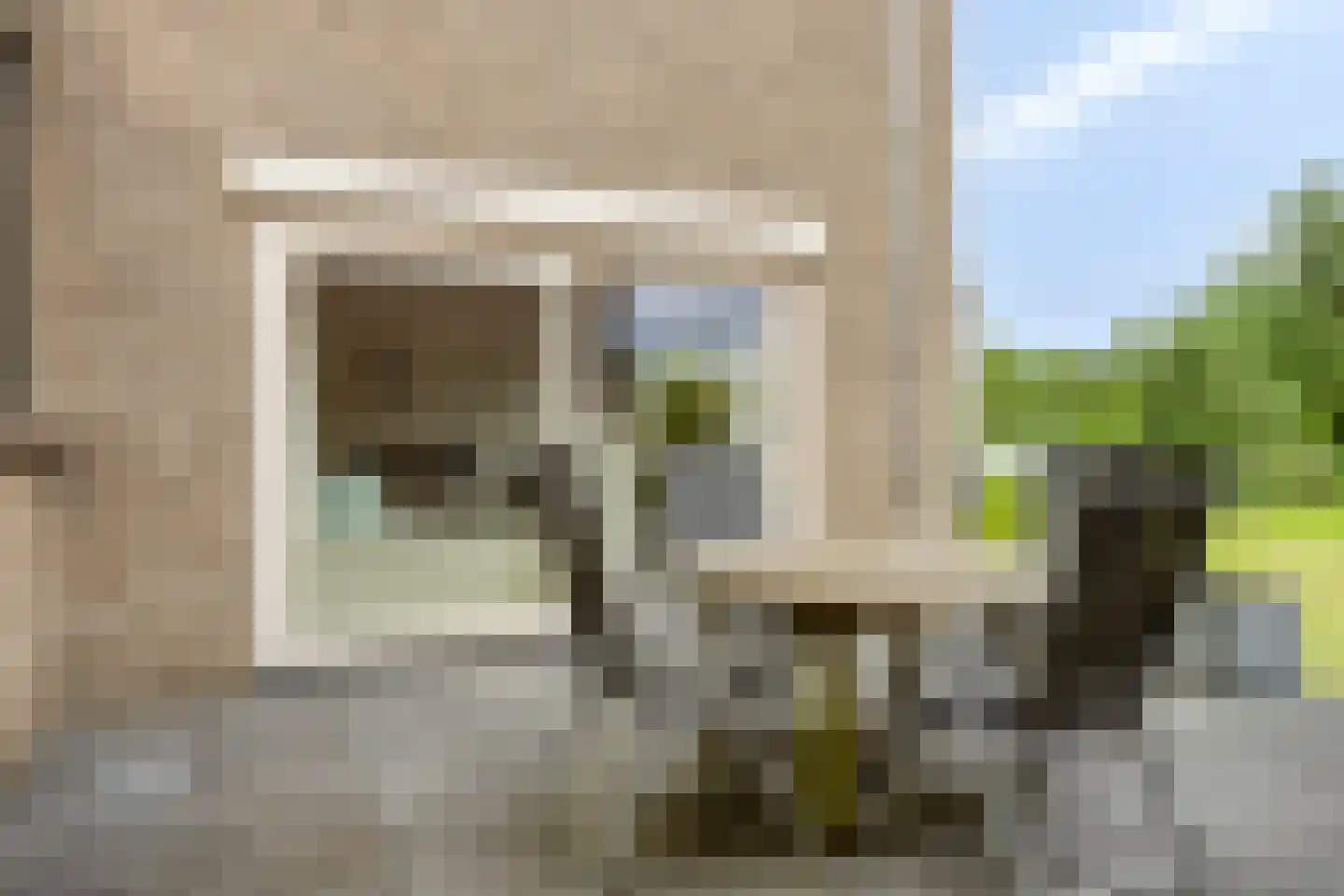 Boksdoorn 6 Krimpen aan den IJssel thumbnail 31