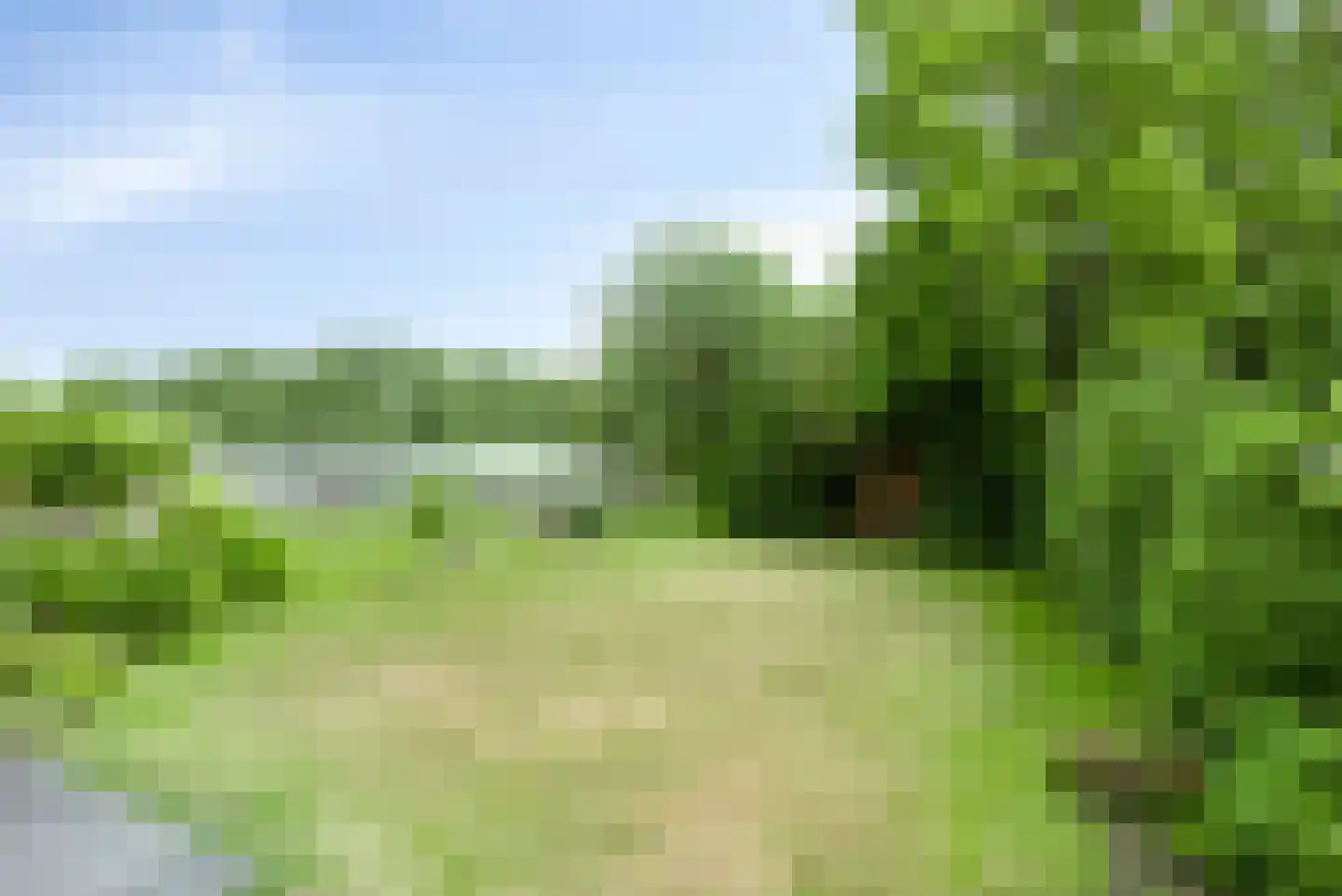 Boksdoorn 6 Krimpen aan den IJssel thumbnail 32