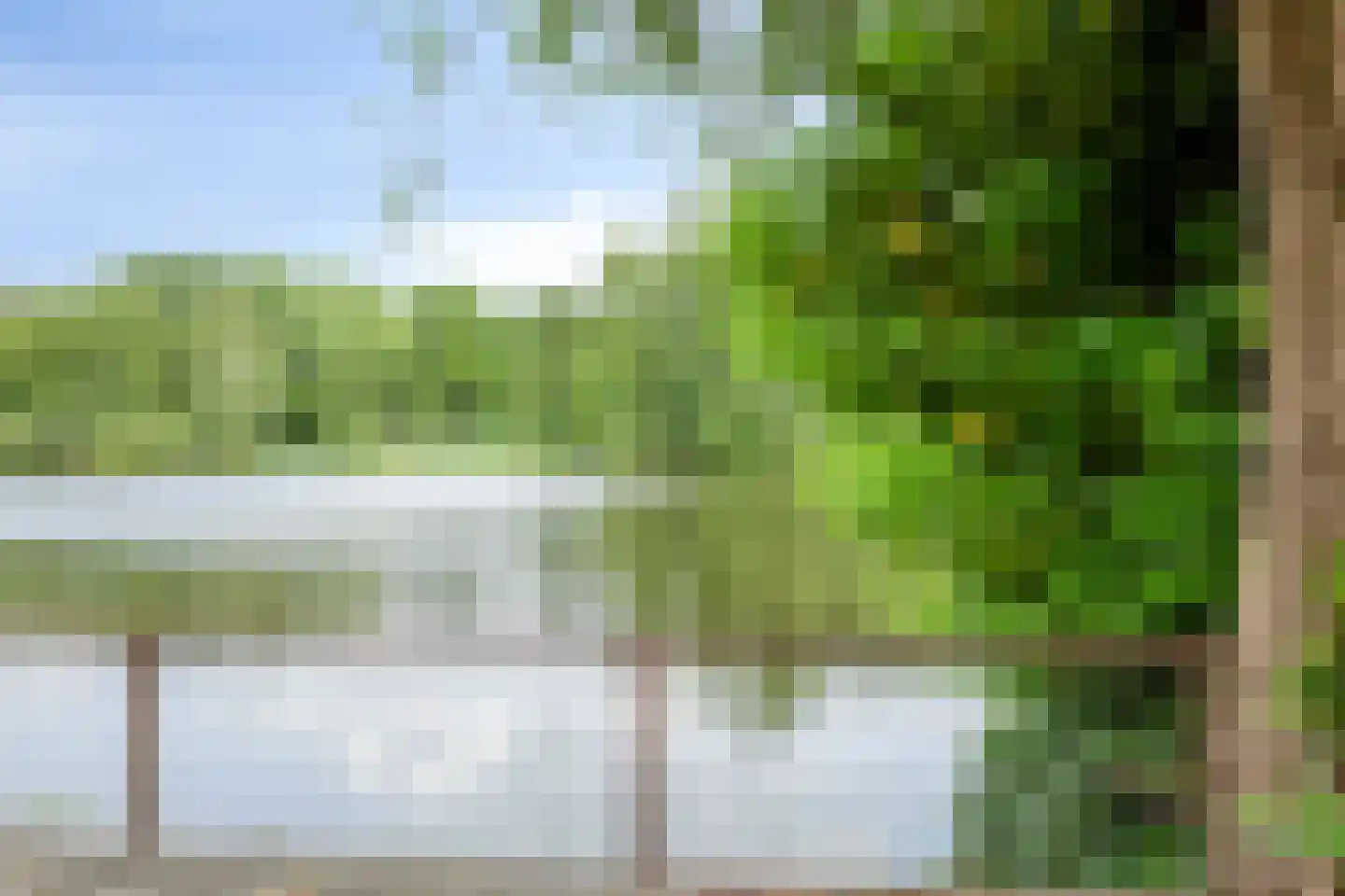 Boksdoorn 6 Krimpen aan den IJssel thumbnail 33
