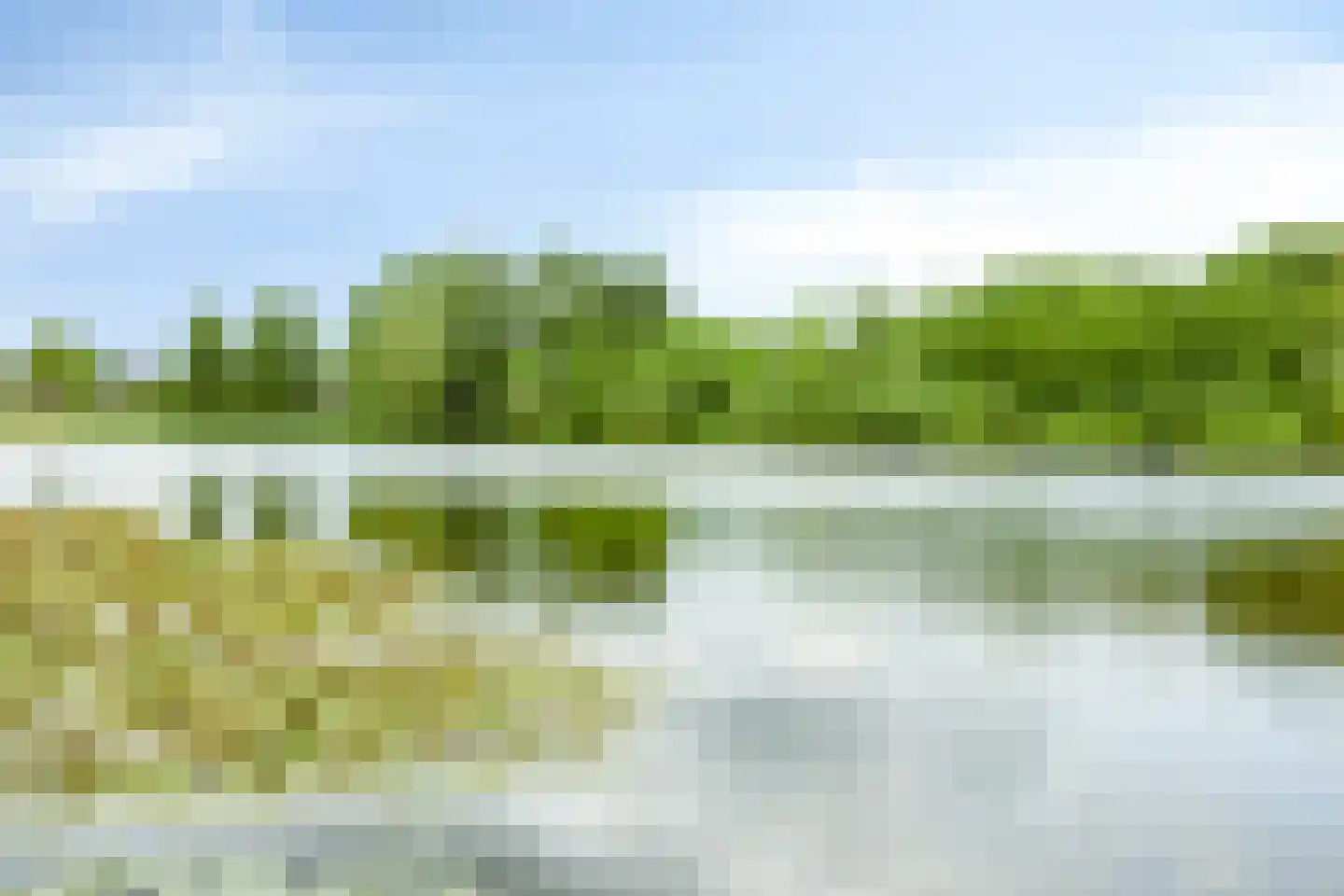 Boksdoorn 6 Krimpen aan den IJssel thumbnail 34