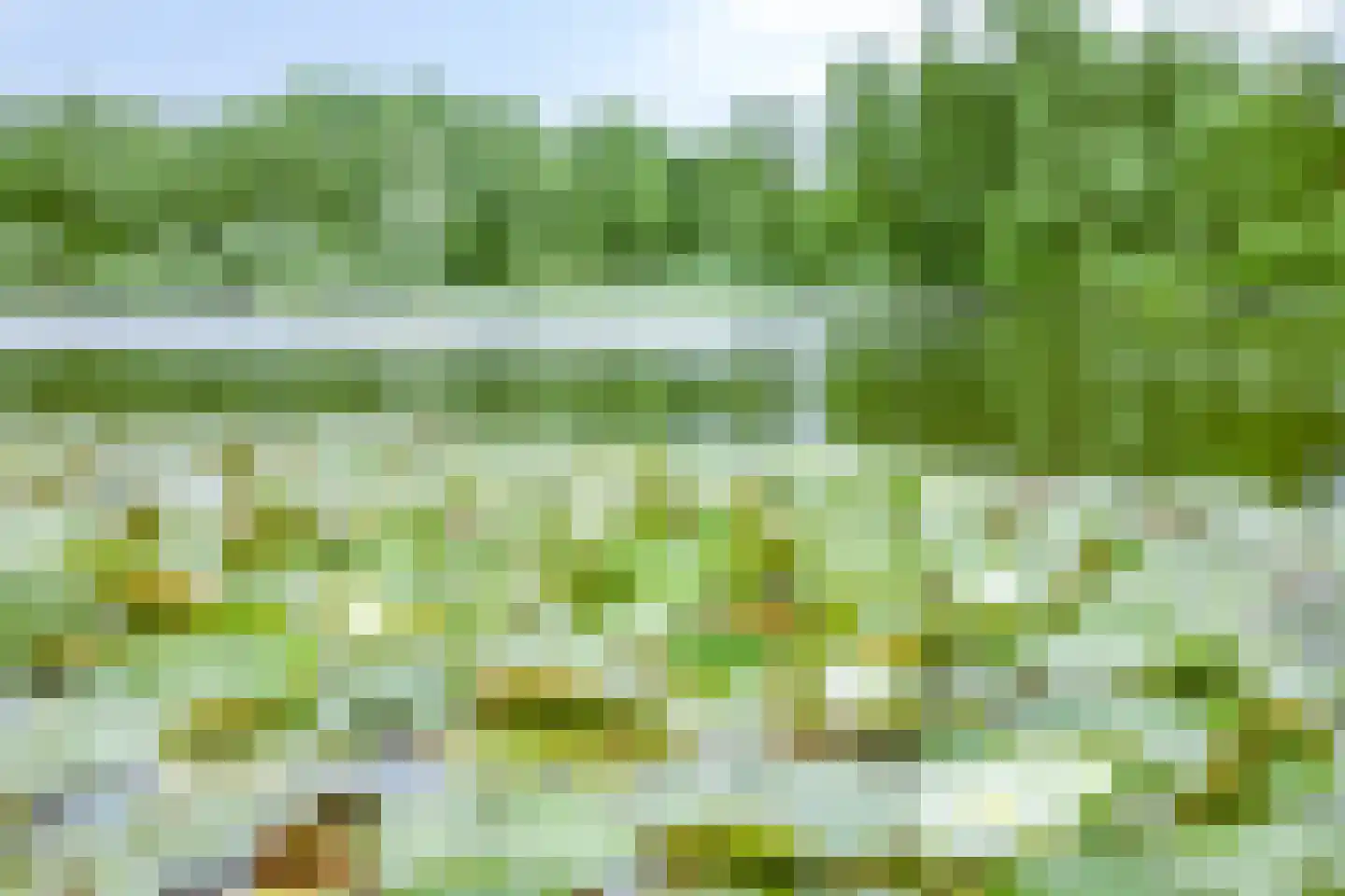 Boksdoorn 6 Krimpen aan den IJssel thumbnail 35
