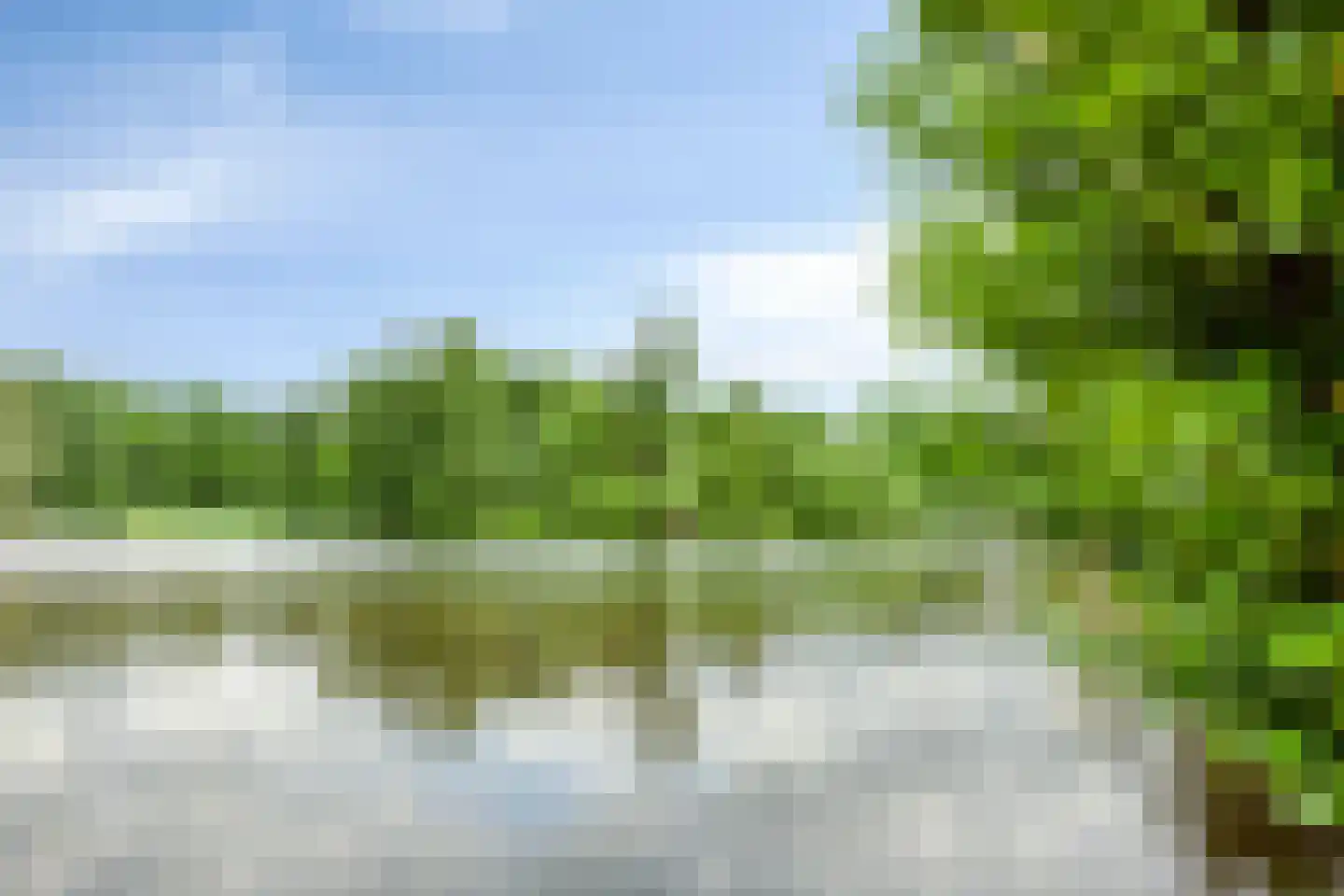 Boksdoorn 6 Krimpen aan den IJssel thumbnail 36