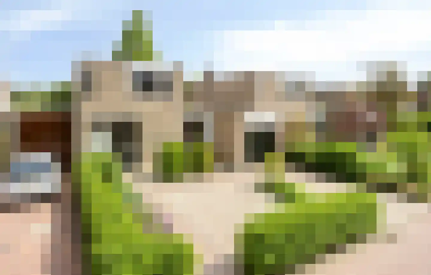 Boksdoorn 6 Krimpen aan den IJssel thumbnail 38
