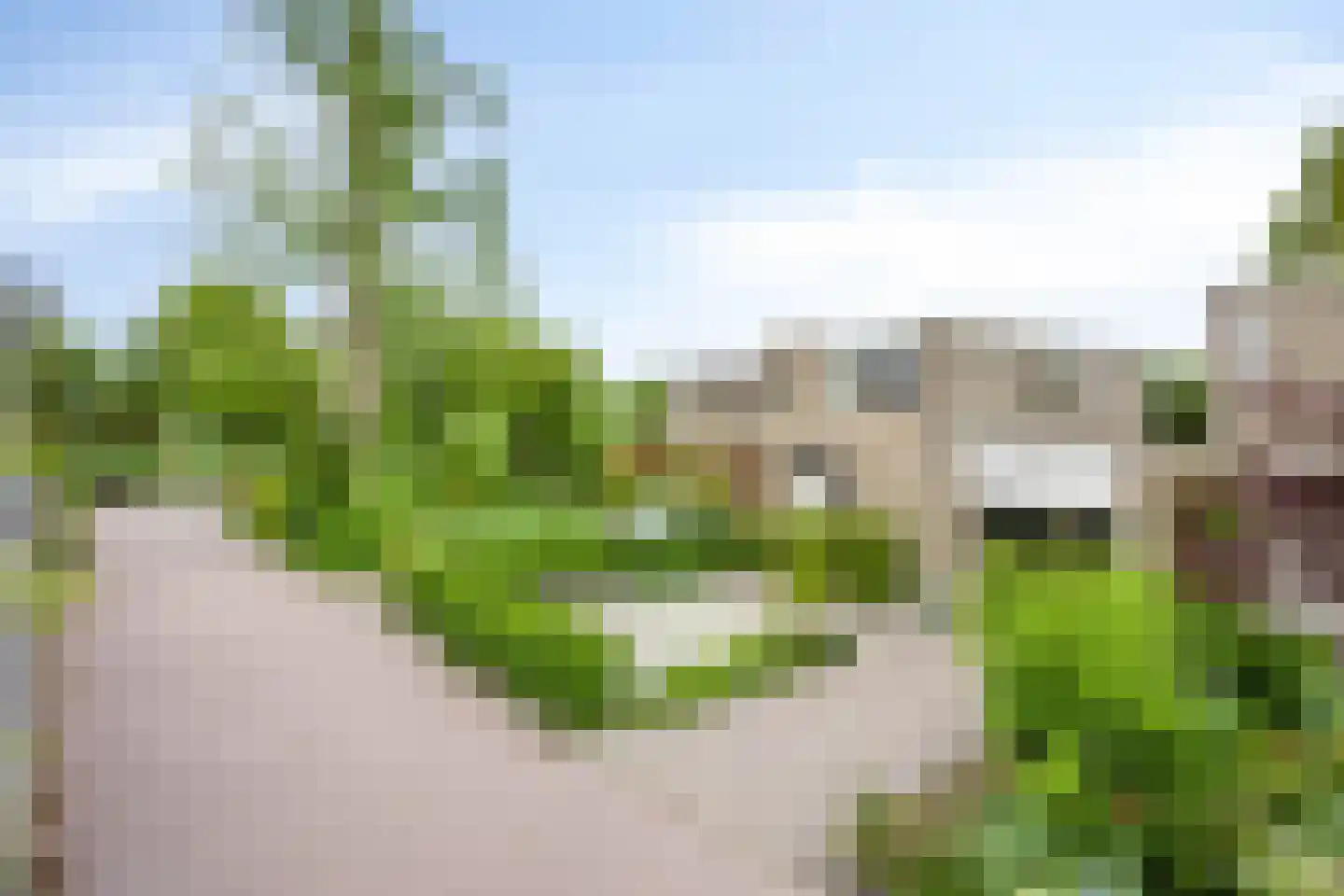 Boksdoorn 6 Krimpen aan den IJssel thumbnail 39
